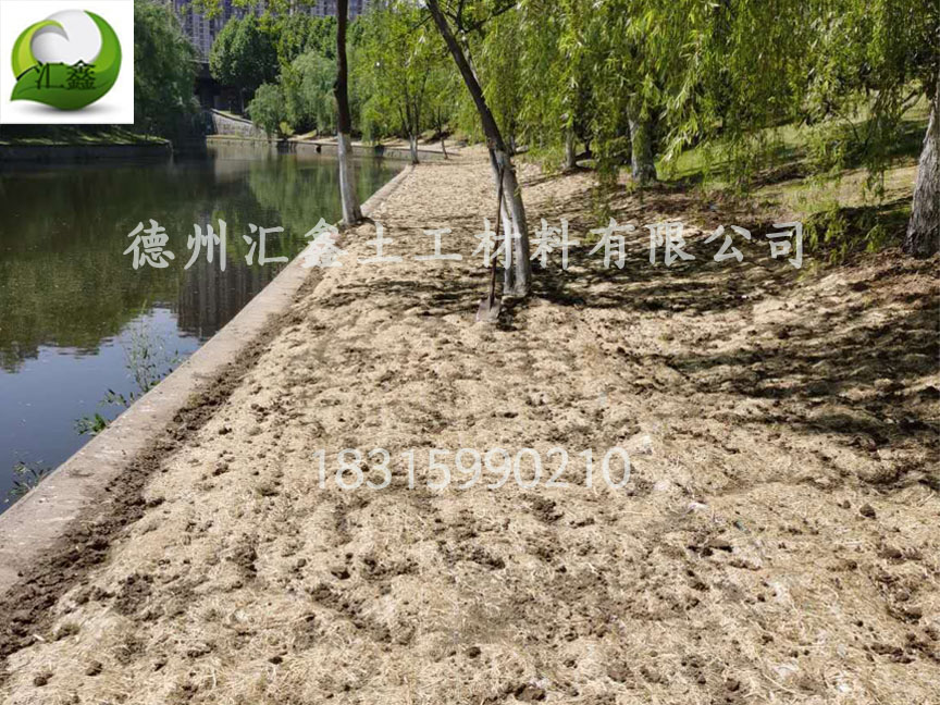 廣西李總采購護坡植草毯350000㎡(圖1)