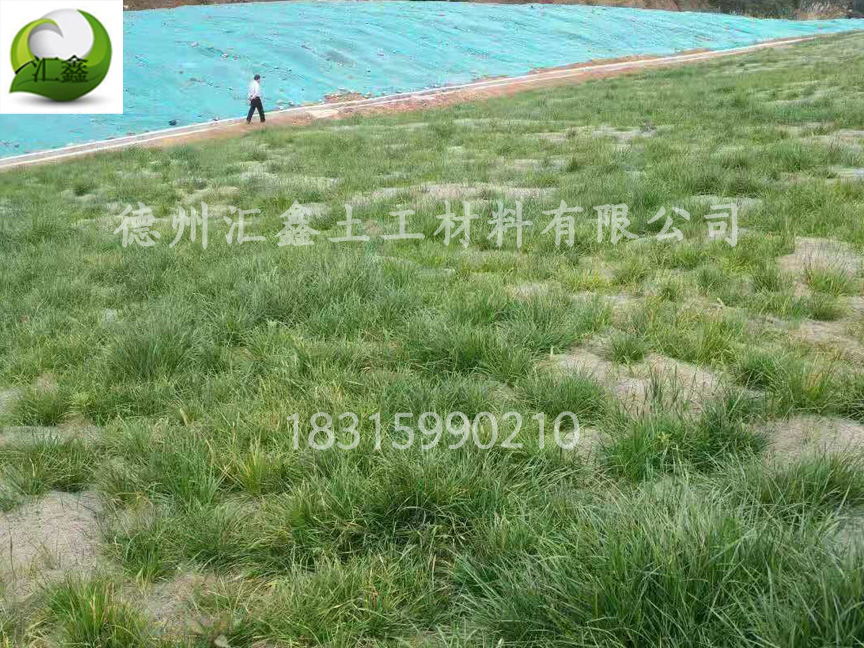 生態草毯應用范圍(圖2)