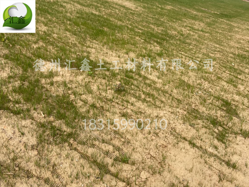 什么是椰絲毯?椰絲毯的特點是什么?(圖2) 什么是椰絲毯?椰絲毯的特點是什么?(圖2)