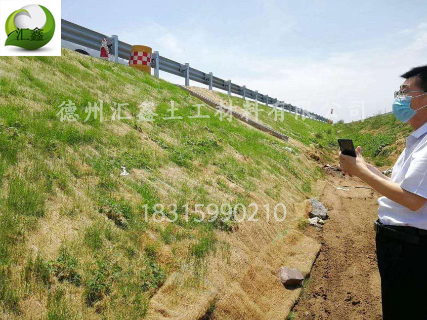椰絲毯礦山生態修復(圖3)