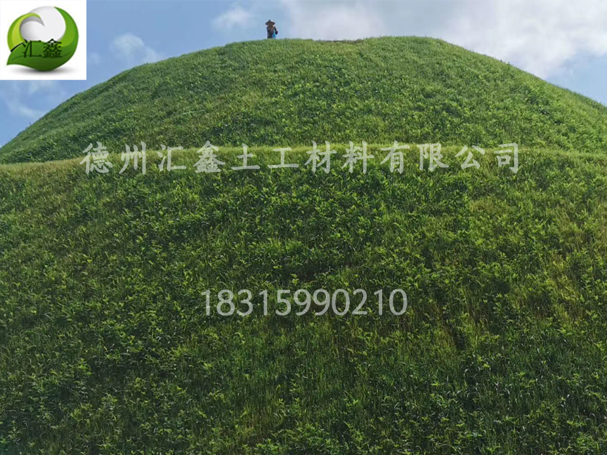 植物纖維毯——礦山生態修復(圖3)