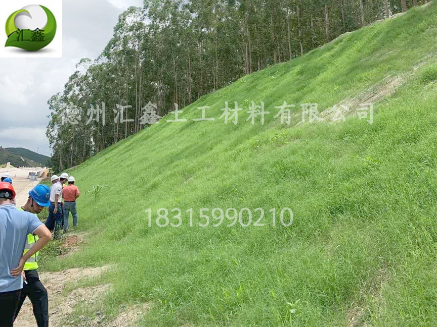 植被毯是如何施工的？(圖3)