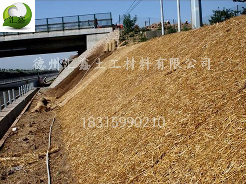 植物纖維毯可降解一體化草毯(圖1)