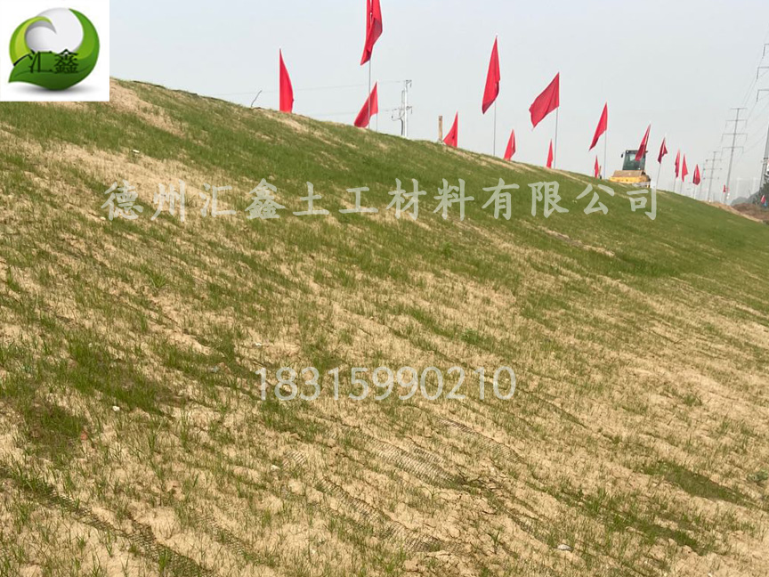 植物纖維毯礦山生態修復材料(圖2)