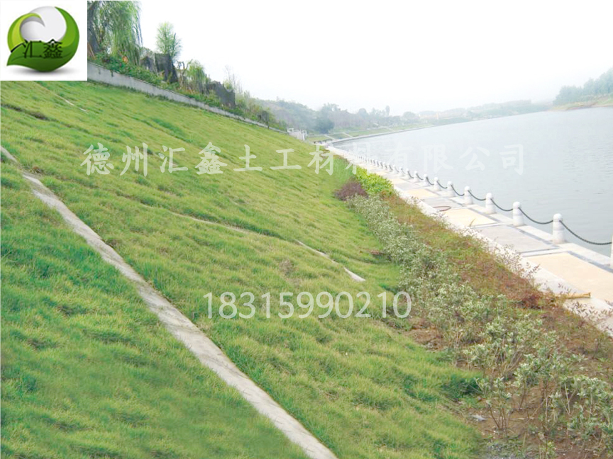 生態(tài)草毯河道邊坡防護(hù)(圖1) 生態(tài)草毯河道邊坡防護(hù)(圖1)