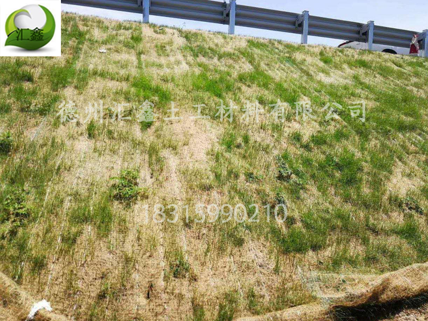 植物纖維毯是怎樣護(hù)坡綠化的?(圖2) 植物纖維毯是怎樣護(hù)坡綠化的?(圖2)