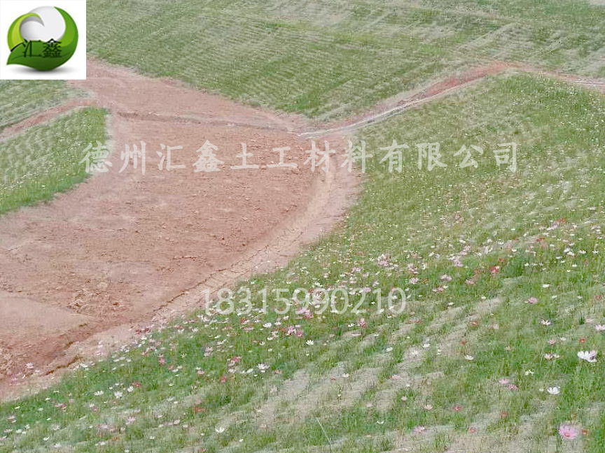 植物纖維毯是怎樣護(hù)坡綠化的?(圖3) 植物纖維毯是怎樣護(hù)坡綠化的?(圖3)