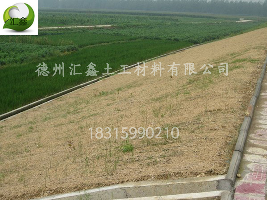 生態(tài)草毯是怎樣護(hù)坡綠化的?(圖1) 生態(tài)草毯是怎樣護(hù)坡綠化的?(圖1)