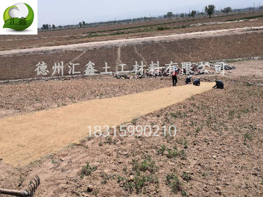 植物纖維毯怎樣綠化護坡？(圖1)