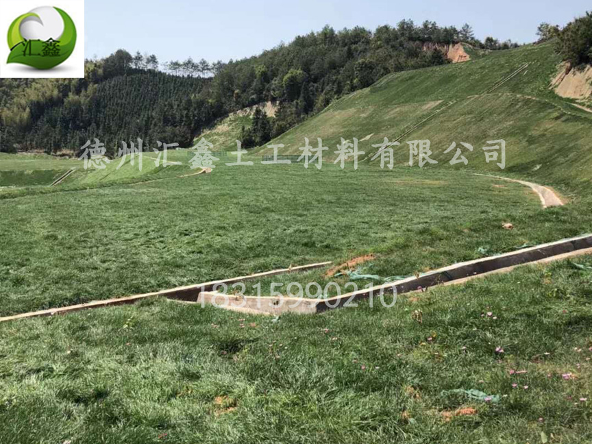 椰絲毯的施工工藝是怎樣的?(圖1) 椰絲毯的施工工藝是怎樣的?(圖1)