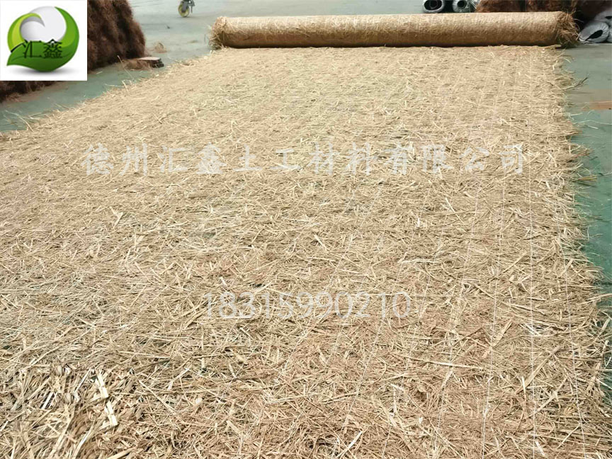 植被毯的優勢有哪些？(圖2)