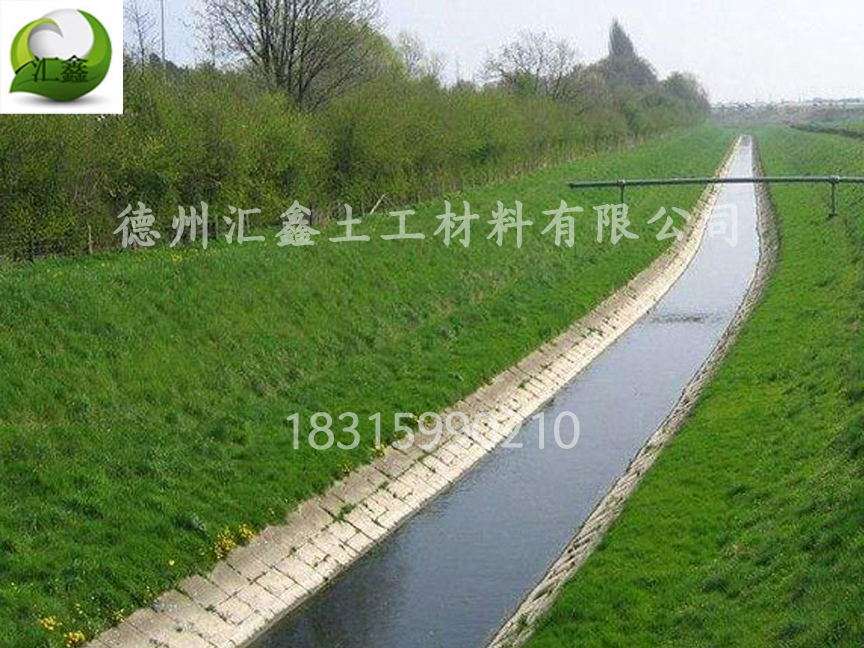 綠化護坡專用毯——植被毯(圖3)