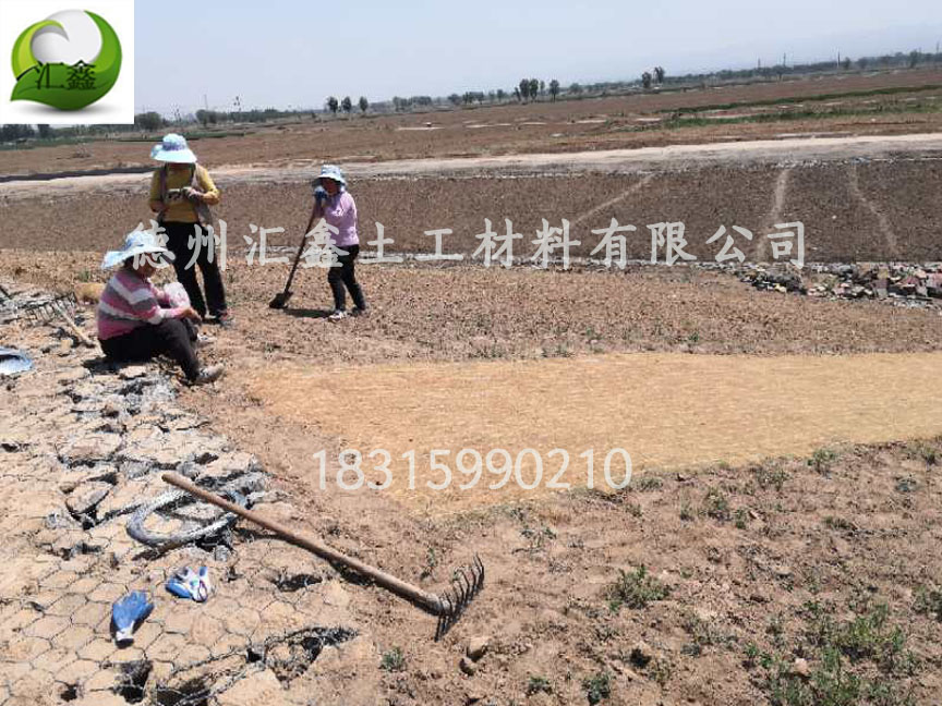 植物纖維毯的具體價格(圖2)