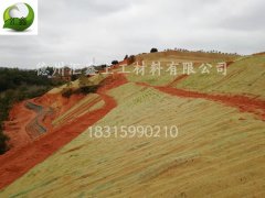 護坡專用—植被毯