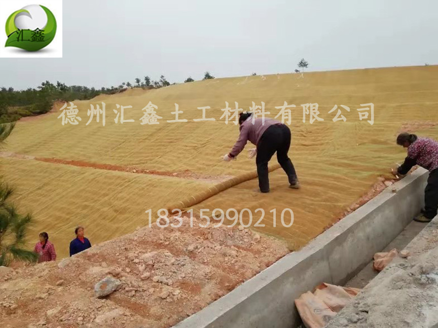 植被毯的護坡小知識(圖1) 植被毯的護坡小知識(圖1)