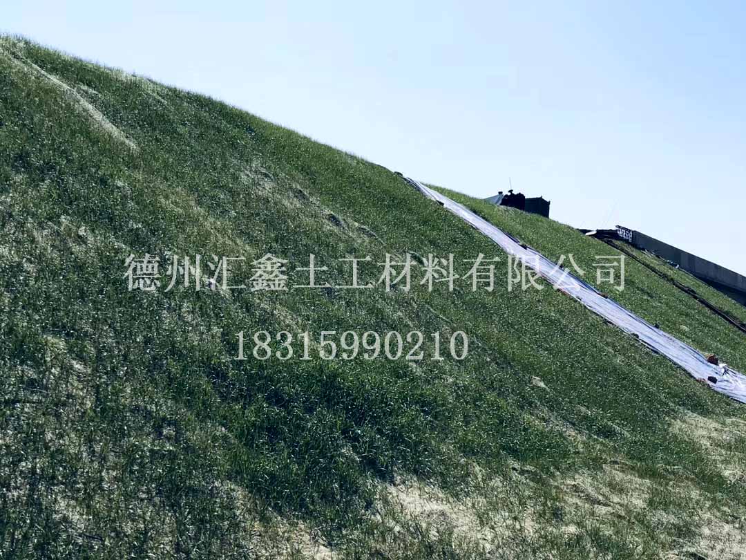 生態草毯售后完善(圖1)