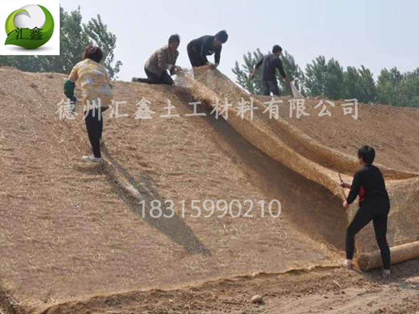植被毯的特點(diǎn)(圖1)