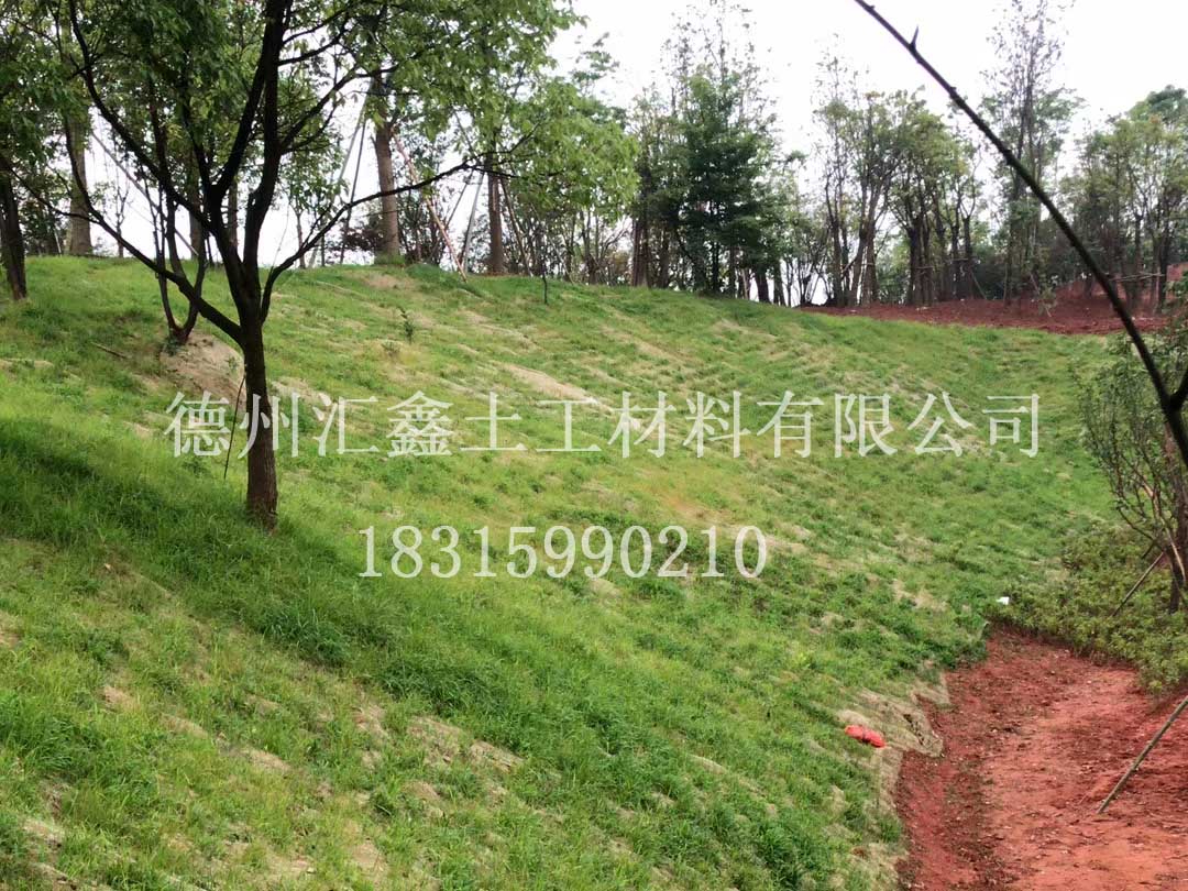 植物纖維毯的應用(圖1)